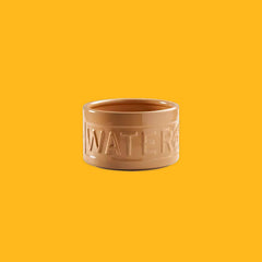 Mason Cash Earthenware Water Dog Bowl