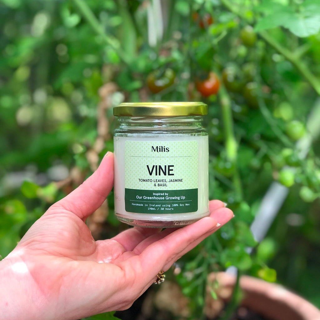 Milis Natural Soy Candles Vine in hand