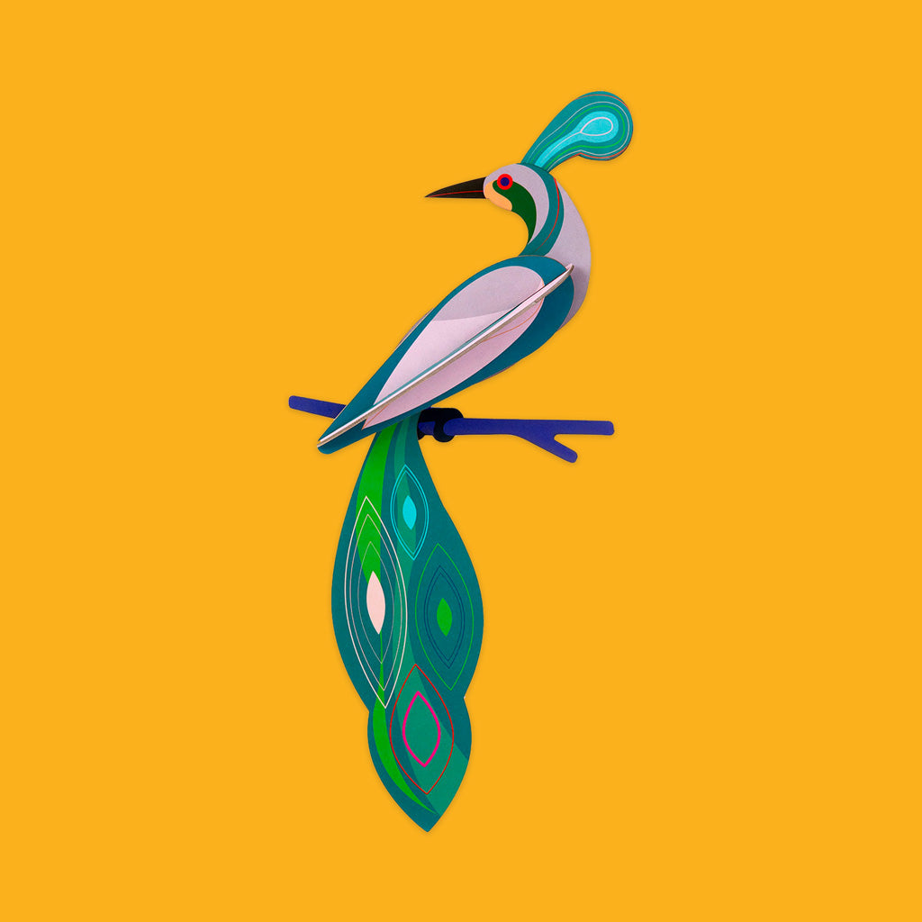 Paradise Birds Fiji from Studio Roof TTM139