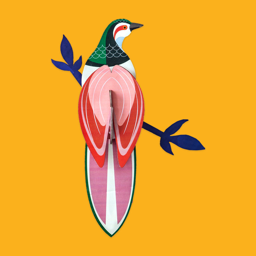 Paradise Birds Rani from Studio Roof TTM81