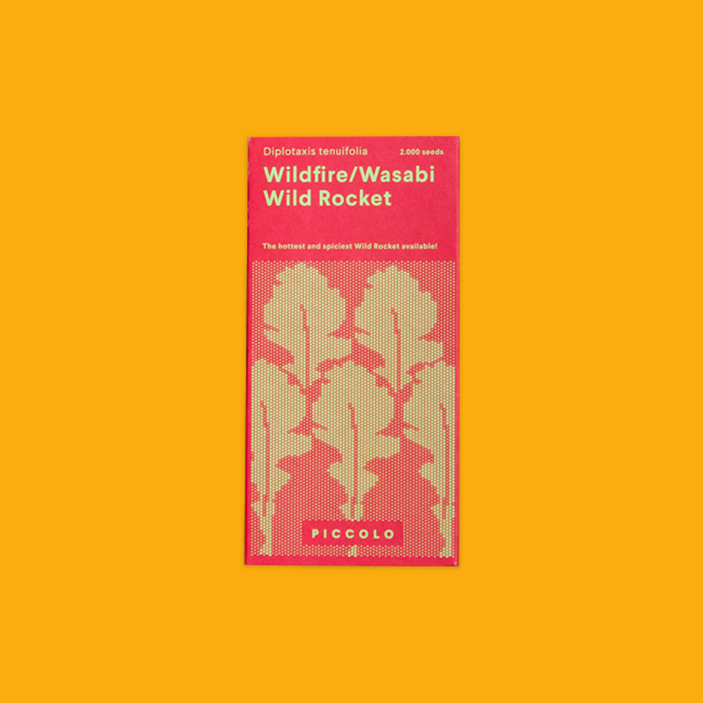 PICCOLO SEEDS Wildfire Wasabi Wild Rocket