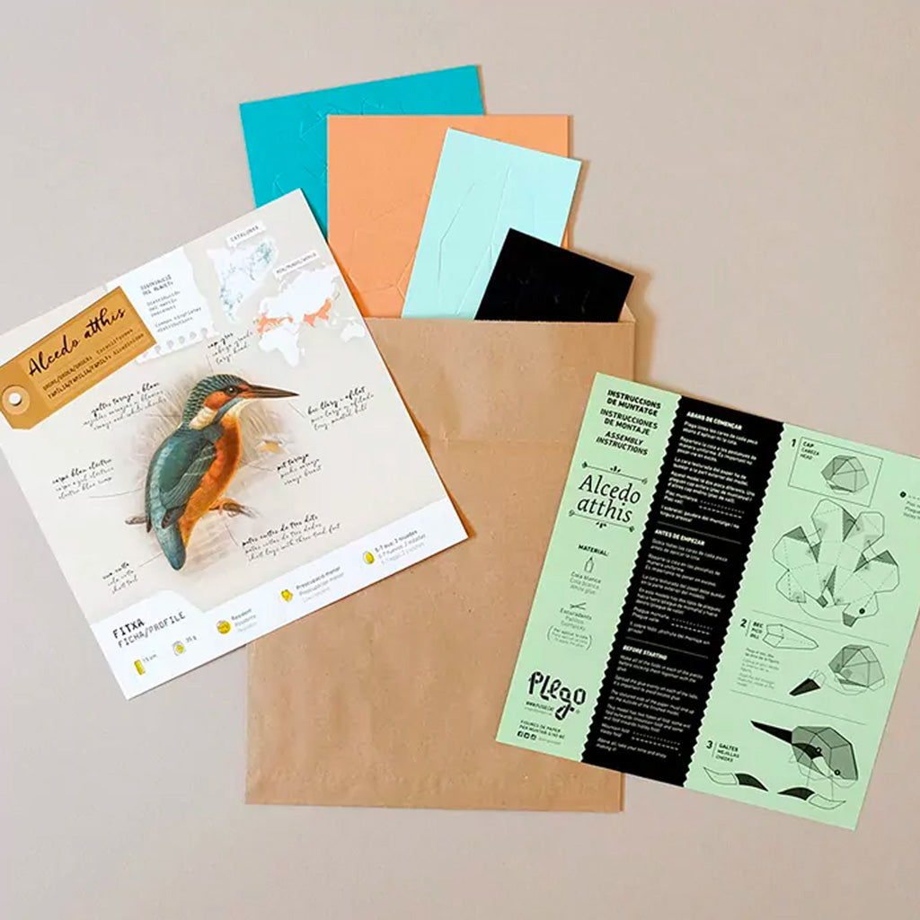 Plego Arts Paper Instructions