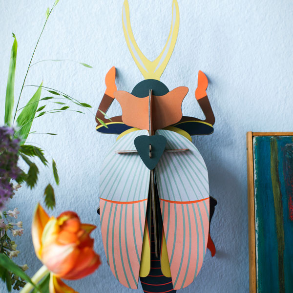 Rhinocerous Beetle displayed on a blue wall. Studio Roof ORCO orangecomplex