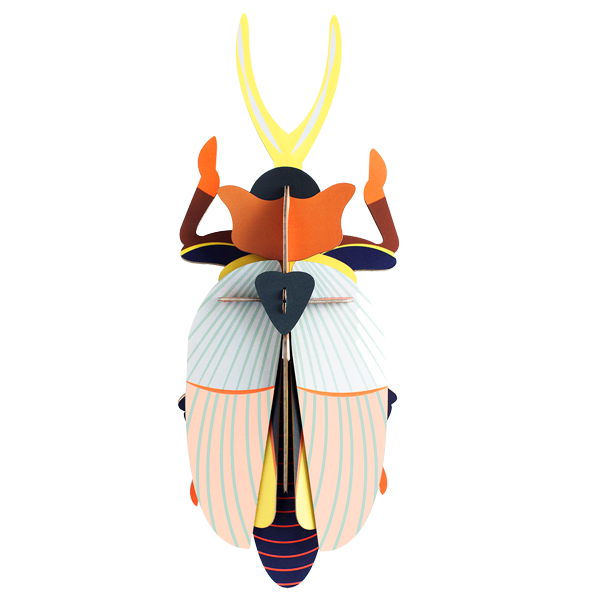 Rhinocerous beetle Studio roof ORCO orangecomplex