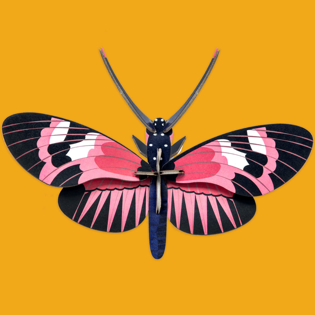 Longwing Butterfly IMA53 by Studio Roof