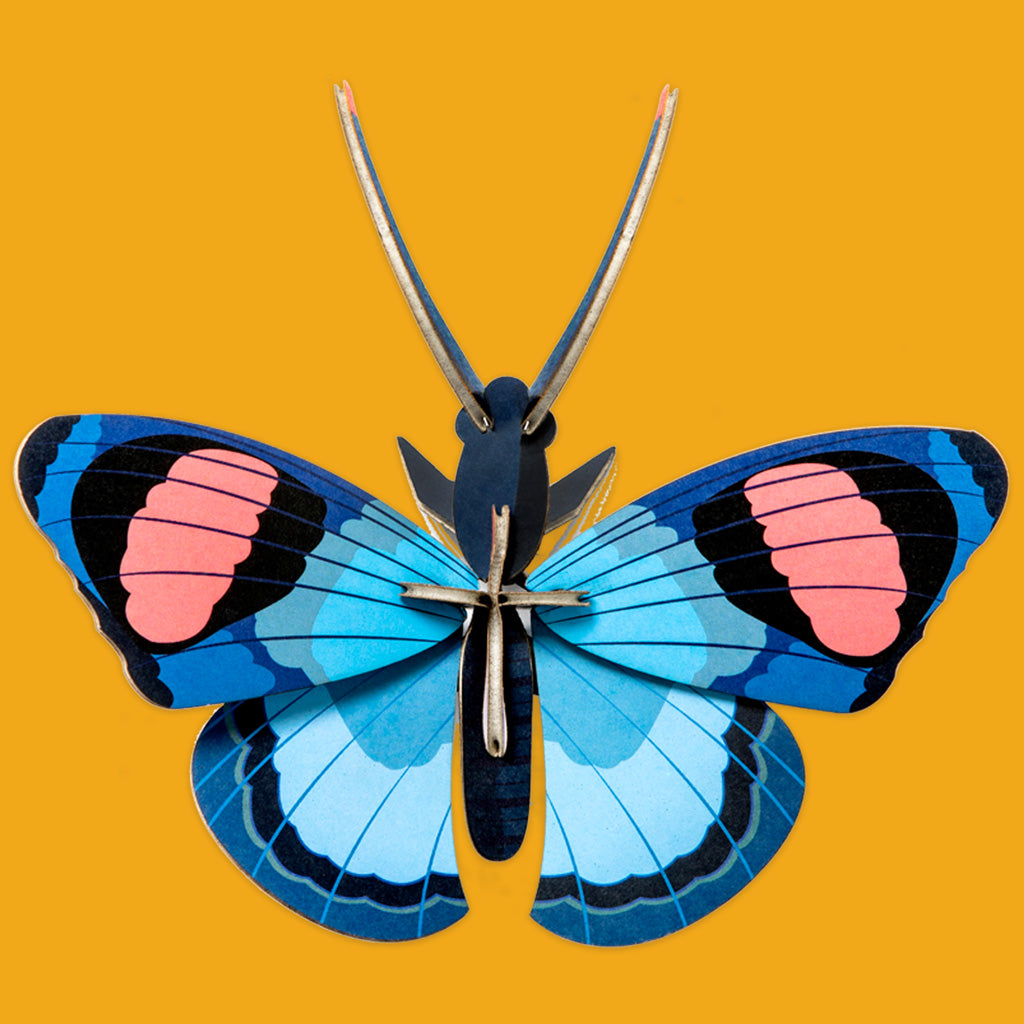 Peacock Butterfly IMA52 by Studio Roof