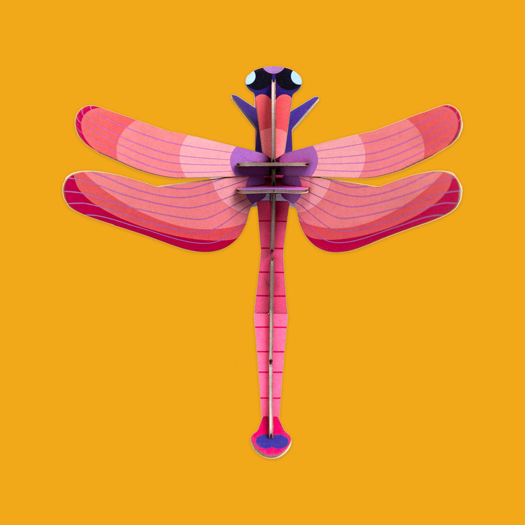 Ruby Dragonfly IMA69 by Studio Roof