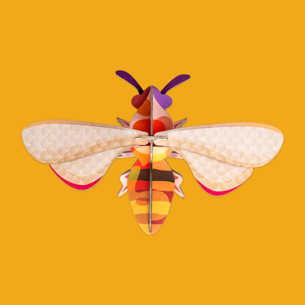Honey Bee IMA48 by Studio Roof
