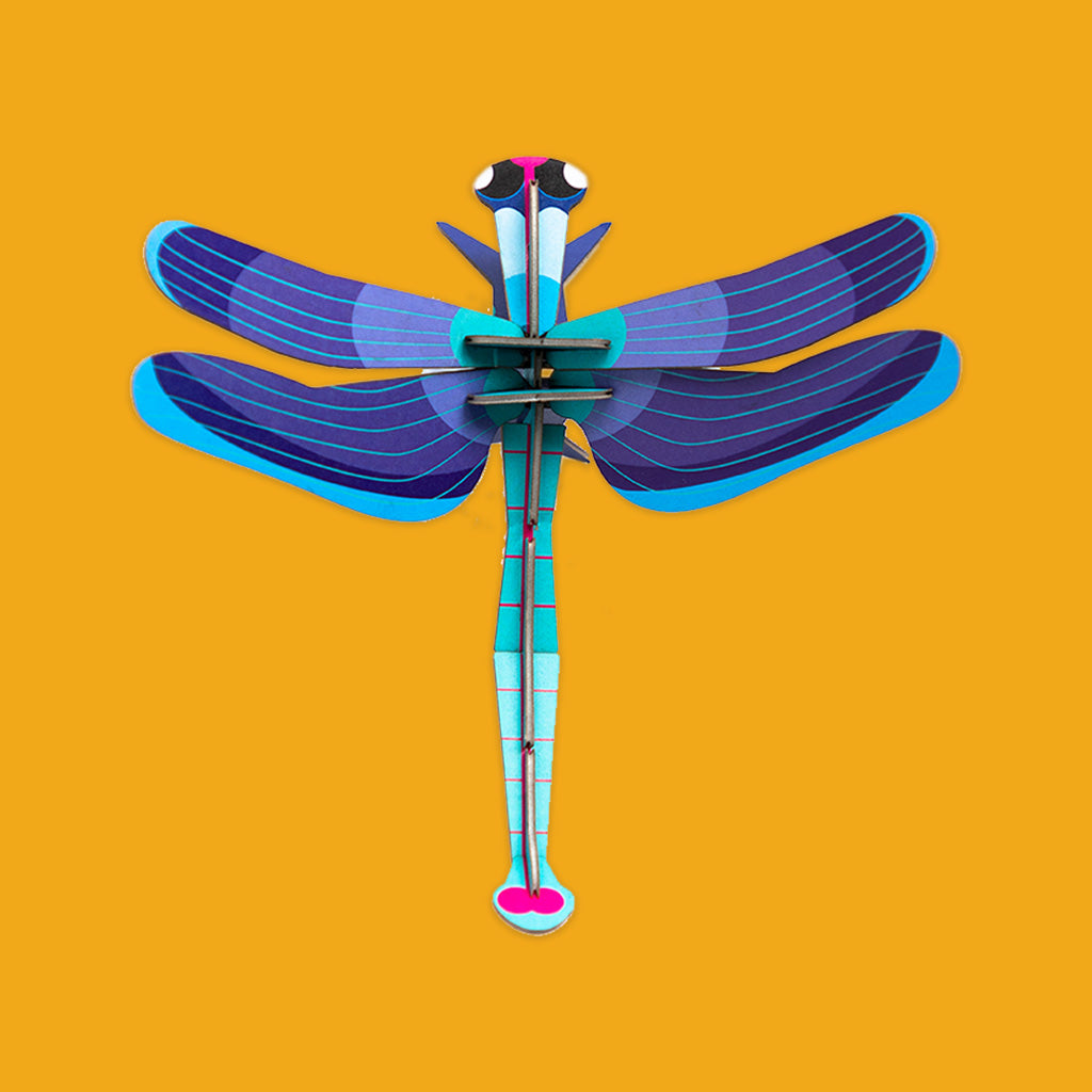 Sapphire Dragonfly IMA70 by Studio Roof