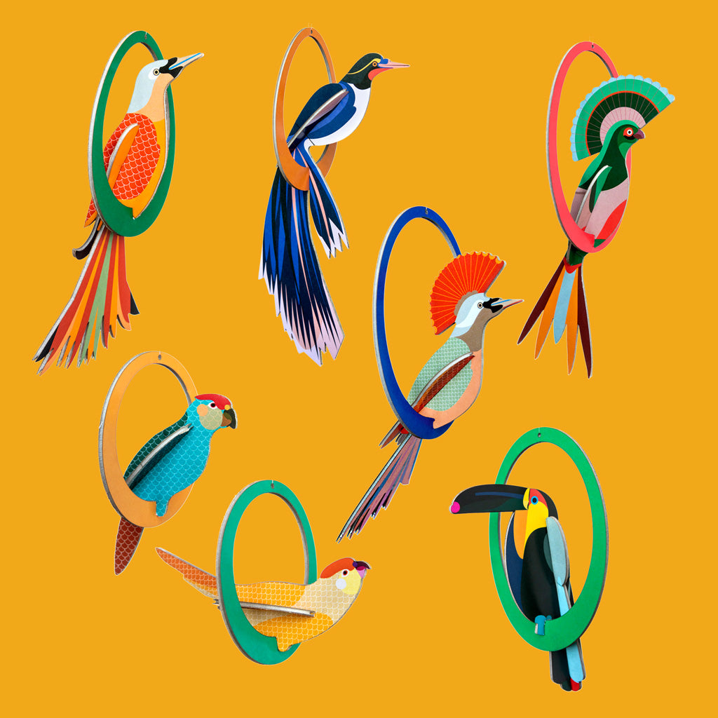 Studio Roof Swinging Birds Pop Out Cards
