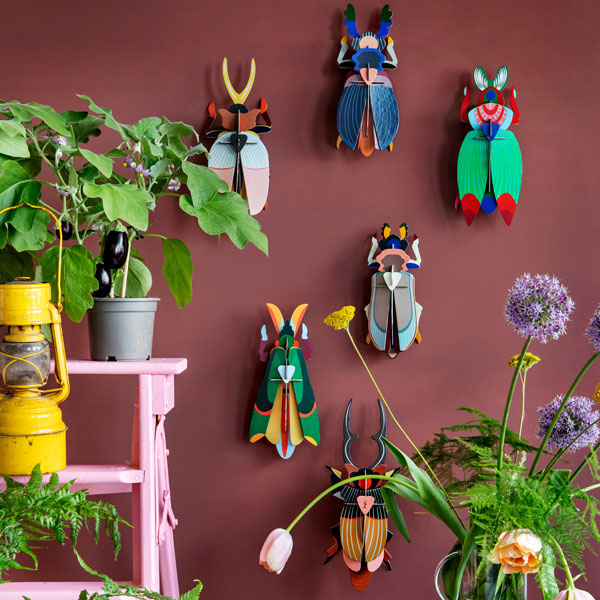 All Studio Roof Big Beetles Displayed on Maroon Wall. ORCO orangecomplex