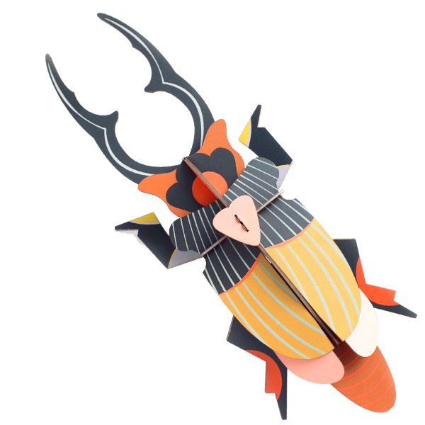 Giant Stag Beetle from Studio Roof ORCO orangecomplex