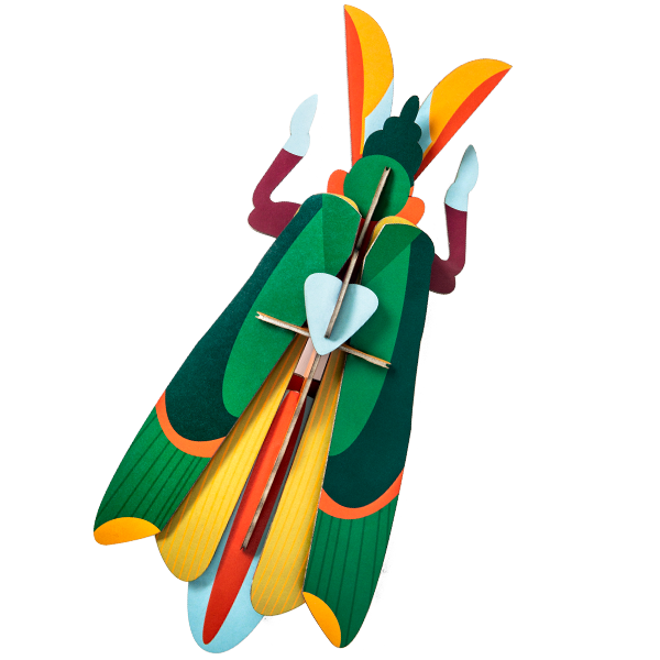 Big Beetle Wall Decorations