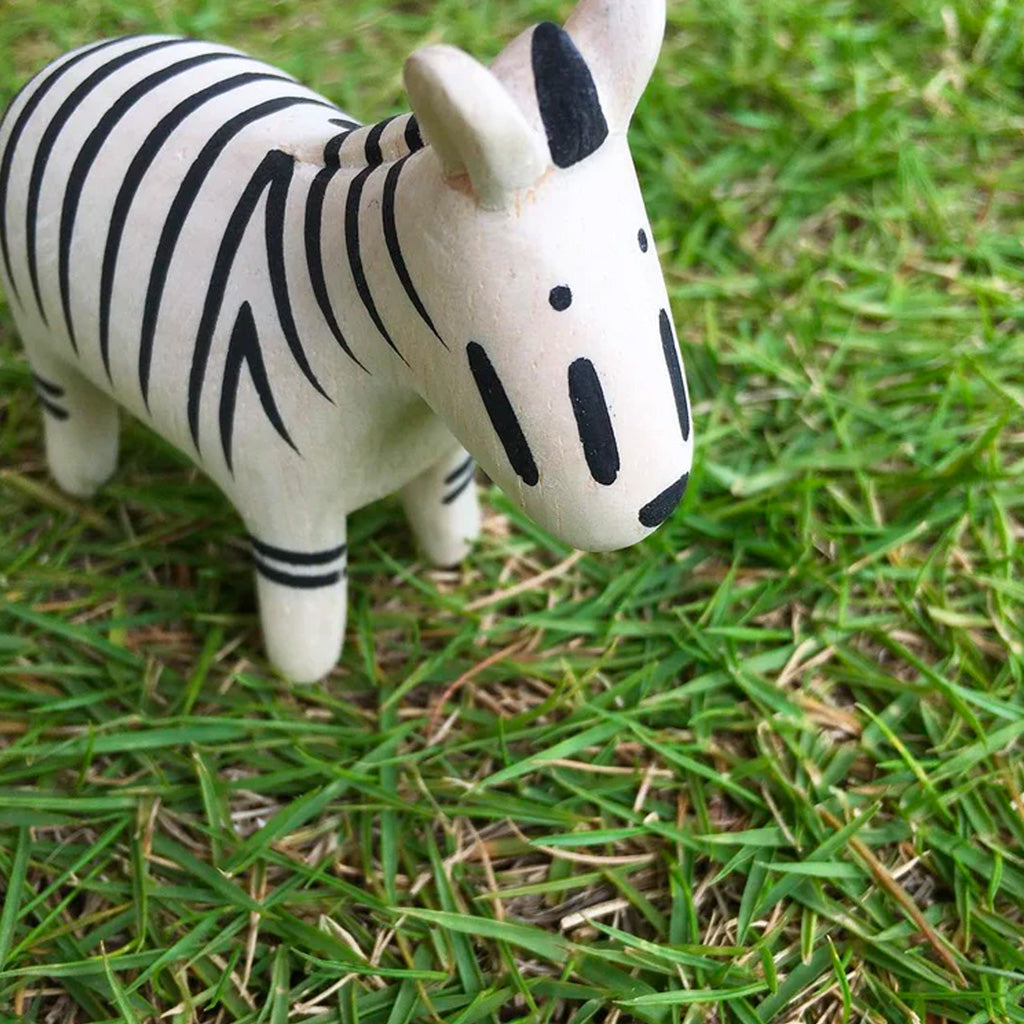 T-Lab Pole Pole Zebra in grass