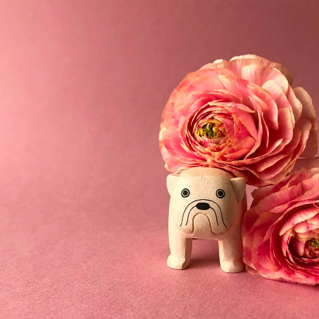 T-LAB Pole Pole Bulldog in amongst flowers