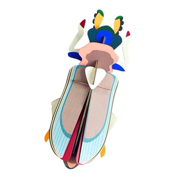 Tiger Beetle Studio Roof ORCO orangecomplex