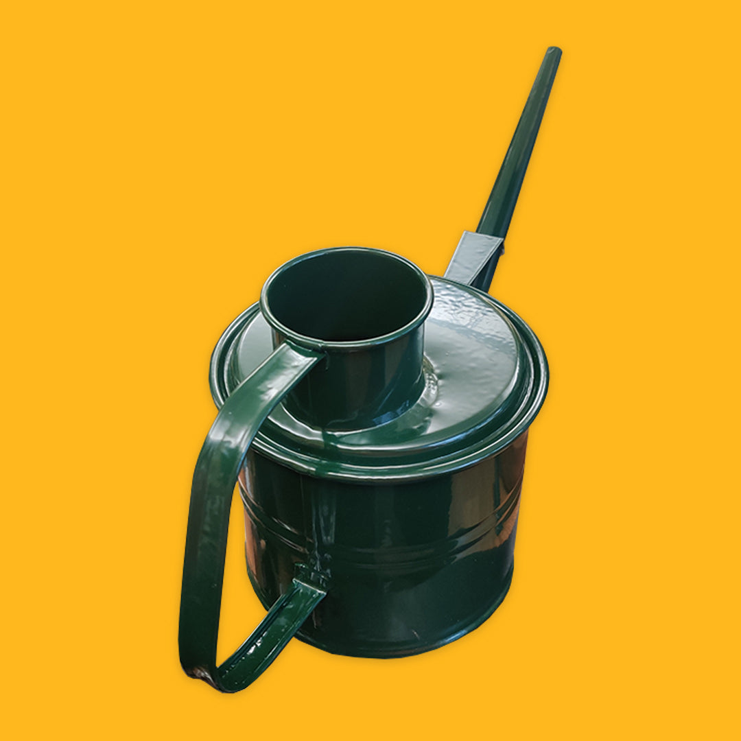 Watering Can 2L in Fir Green