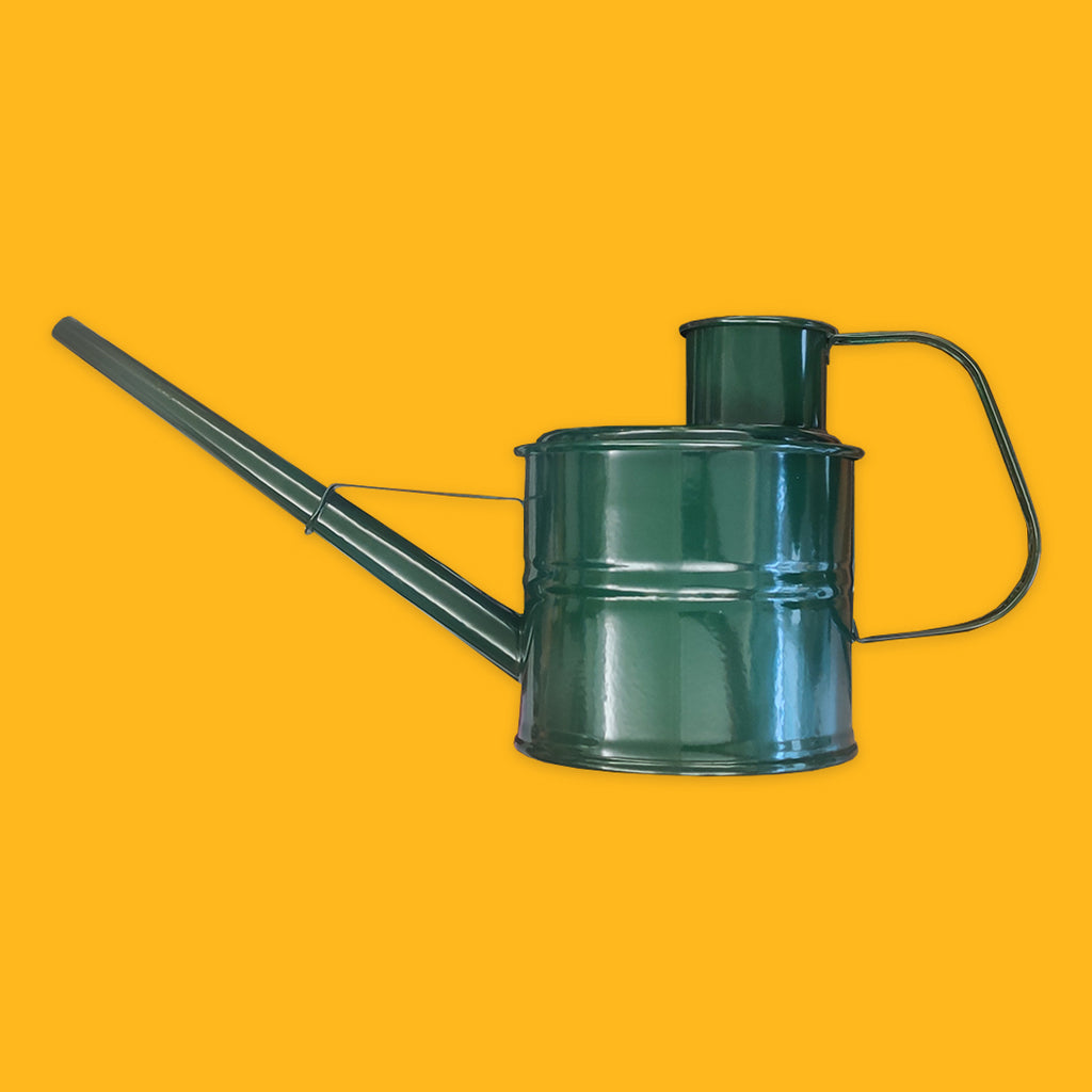 Watering Can 2L in Fir Green